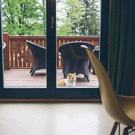 Dom Bratek 카르파츠